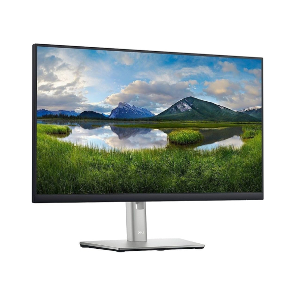 Dell Professional P2422HE