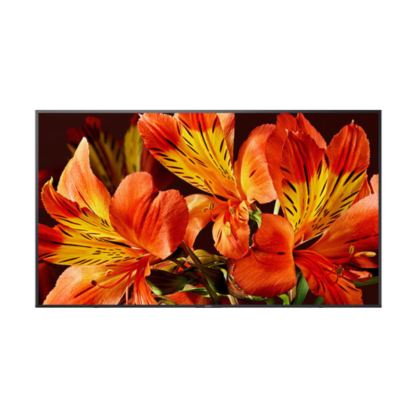 Sony BRAVIA FW-75BZ35F