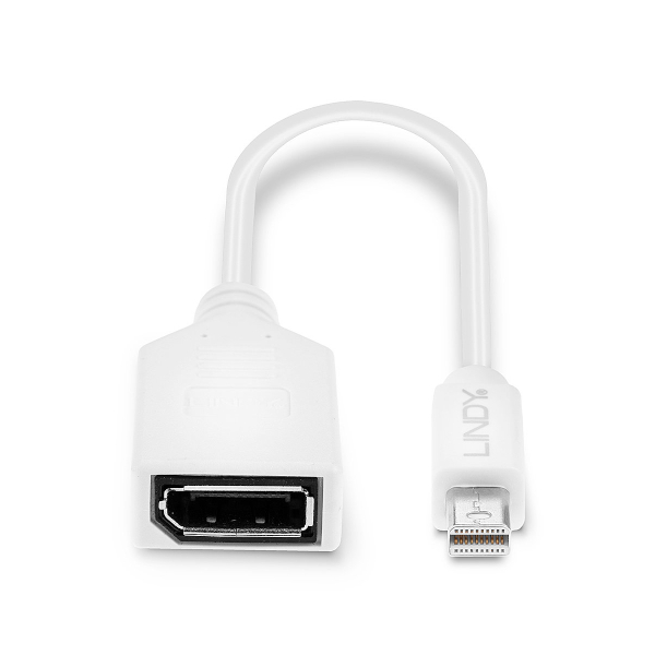 Lindy mini DisplayPort → DisplayPort adapter